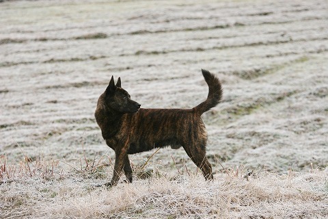 Img_de8f3484d81022e35e27f24bda603fa9