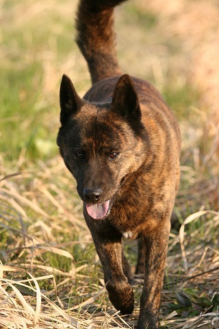 Img_debff11a0009cd9d697e5d3ff5bcc13b