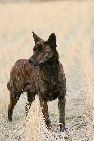 Img_df09bb87b27c82b6bec6b005b9cf4bb1