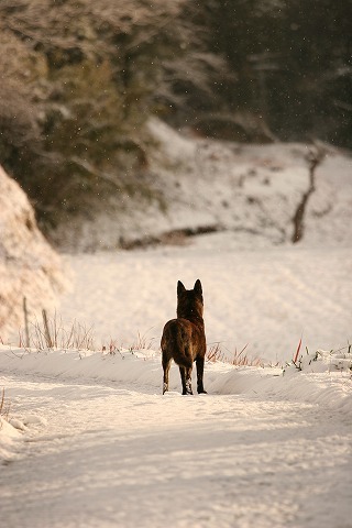 Img_e2c923c322cc4480dbd7b60bd0cc80ac