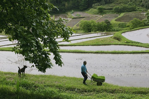 Img_e7c68118de424018fc8425348500c509