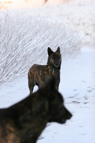 Img_e94395b12fce0a12c6c510448c357497