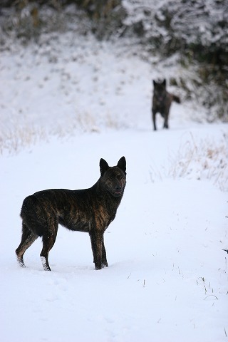 Img_ebcaaea68c59defb884f90438533dbdb