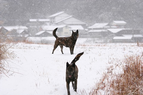 Img_ecbd0af96e2914fbad3440c1bfc2fcb3