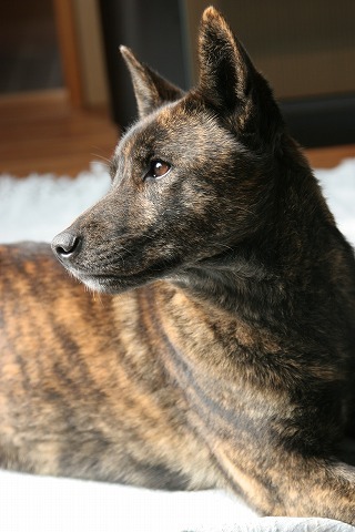 Img_ee4ce629442ba1c016b5d4c8a9bd8fb9