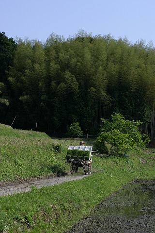 Img_ef095856d8668c591a4f4be46c36ecfd