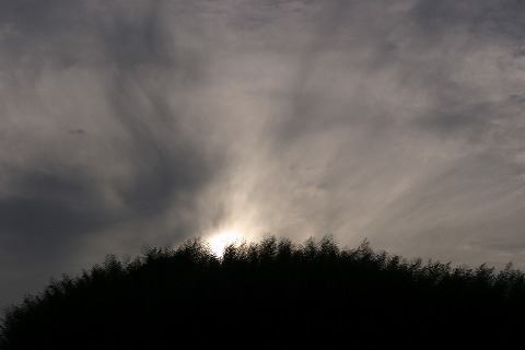 Img_fc376d31ef12610830ef0b8938d2afbe