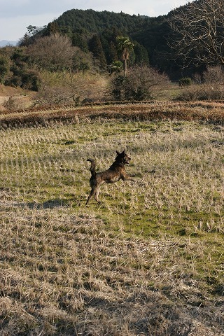 Img_fc81ee8d2f01042992e4c8ff16f913d6