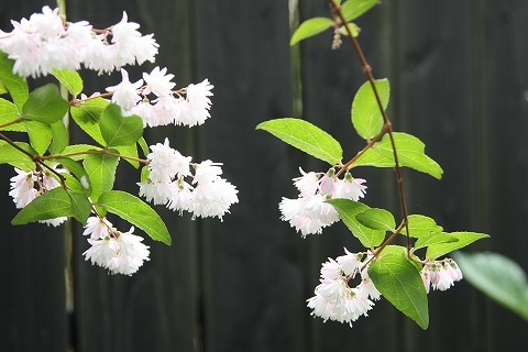 Img_0b1bd65b9b29a41d41fb8085a06a42d9