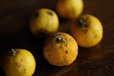 Img_111461b75ae4b2079d05794ba6b2a0b8