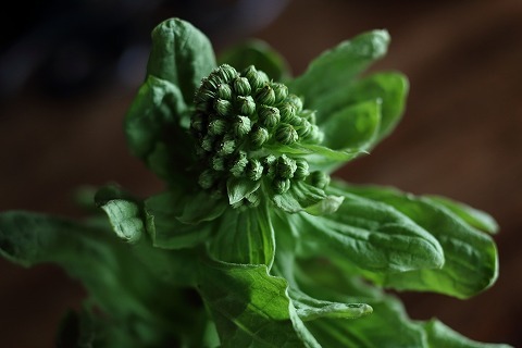 Img_20c54e5deb4ff34e9d87880d72de7bb6