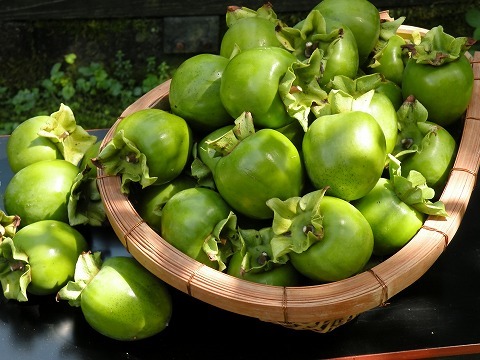 Img_272bcbffa2e2fdf6417e04d6cd587459