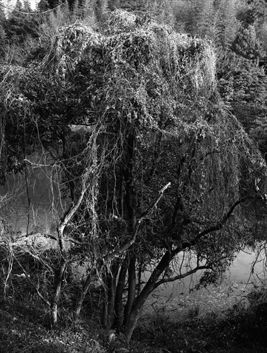 Img_40da33730e325b497a1f25ed4e3963bb