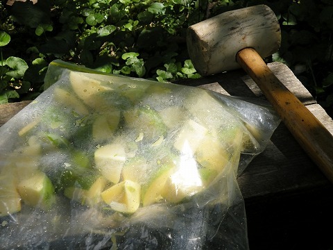 Img_53203883a0fb43351b70d668a4df8e9f