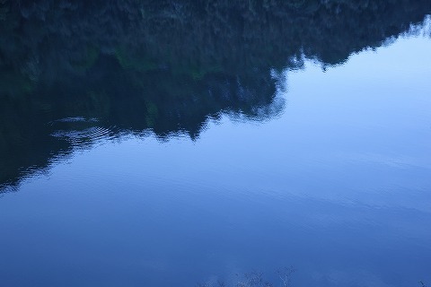 Img_56dbdd78f8af5a182c7dfd70e541bf2e