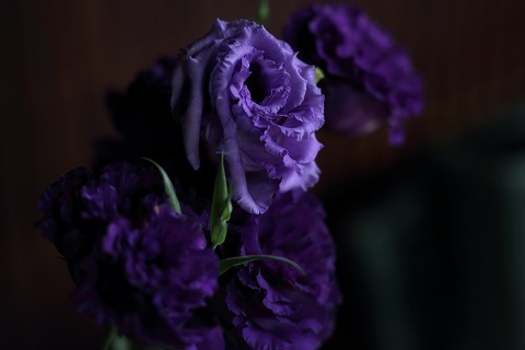 Img_7c11370559a8a554406968de94265f88