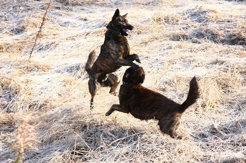 Img_8272fc2b70845ef36c22ca3f5461e441