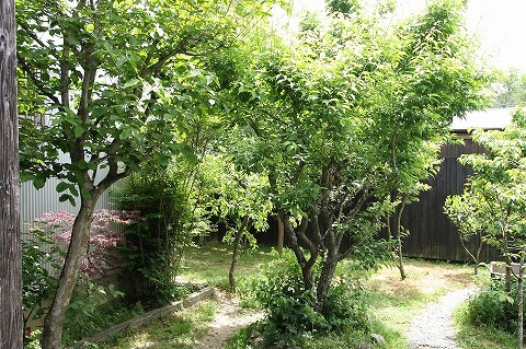 Img_91f15a1d2c1410b64930e14b77fa3d5e