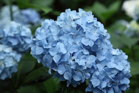 Img_99aa7aa5d255bc401564f161c177010c