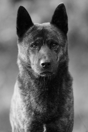 Img_a48d06f9f07351663bef10ed72eb7231