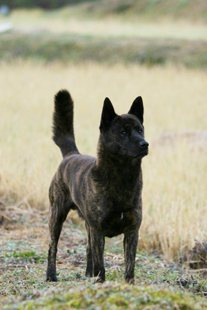 Img_b173b7d84ae7c03c158622f2a24a08ca