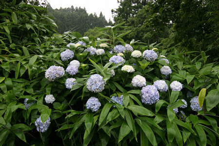 Img_b8d03a9024fefe698a9d5fe48e470b5d