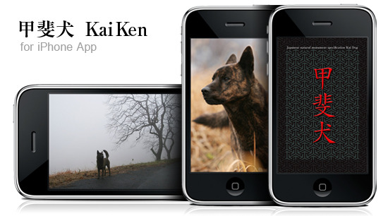 Img_f341b8159df5e60a4c8fd7ad2eb905ae